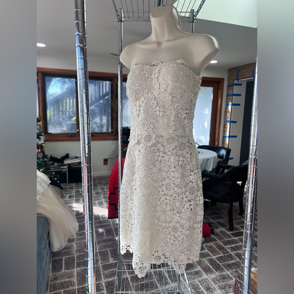 Dolce & Gabbana Lace Strapless Dress